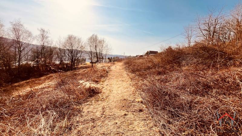 Recreational plots in Nová Kelča with a path surrounded by low vegetation and trees.