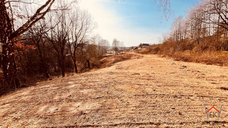 Recreational plots in Nová Kelča, dry trees and grassy areas in autumn weather.