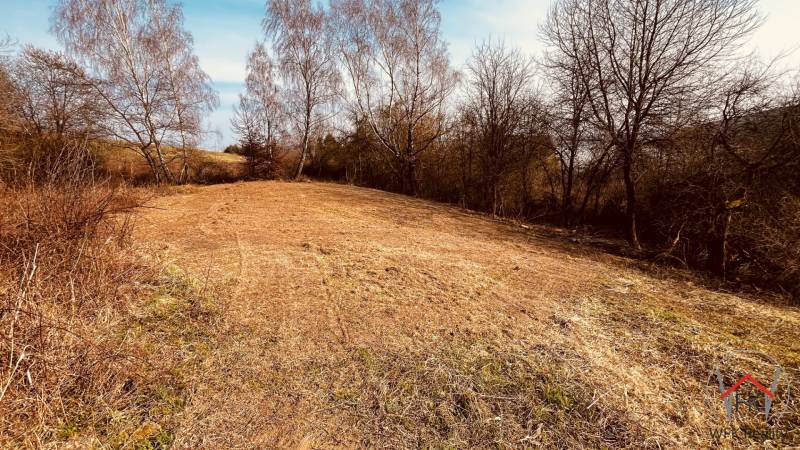 A landscape of an empty plot with grass and trees at Recreational Plots in Nova Kelc.