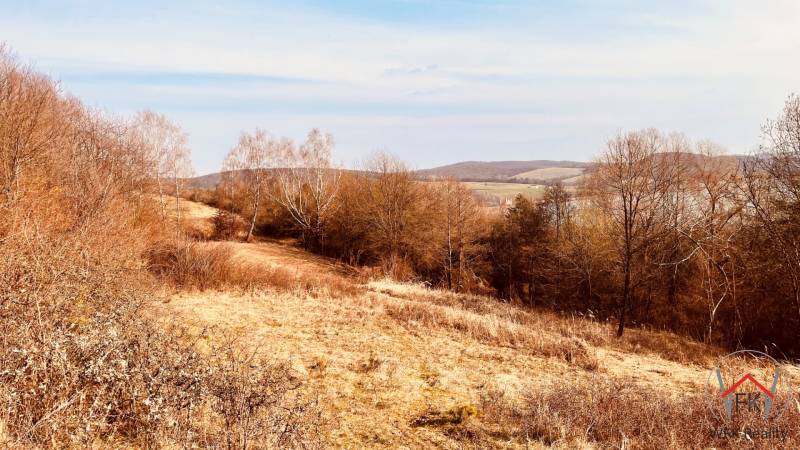 Recreational plots around Nová Kelča with views of wooded hills and open nature.