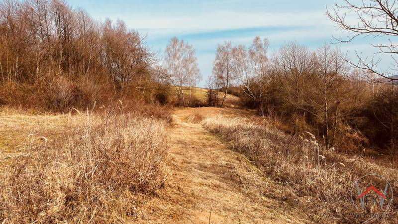 Nature with a path through dry grass in the recreational areas of Nova Kelc.