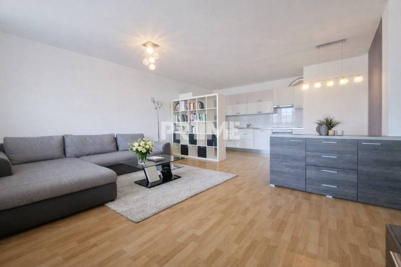 Living room with kitchen, comfortable sofa, floor decor, and modern lighting in a two-room apartment.