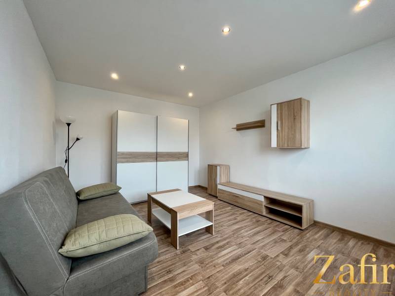 A one-room apartment with a wooden decor floor and practical furniture equipment.