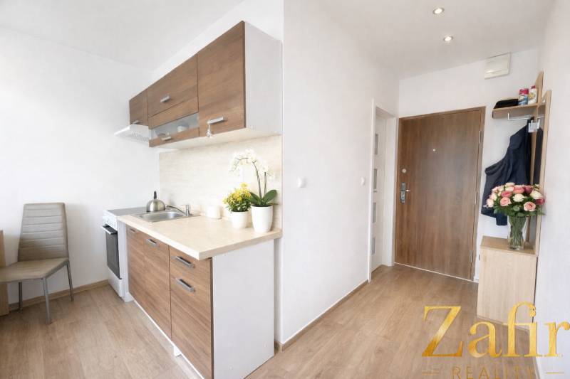 A kitchen with wooden decor and entrance door in a studio apartment.