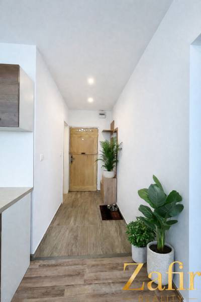 A hallway in a one-room apartment with a wooden decor floor and houseplants.