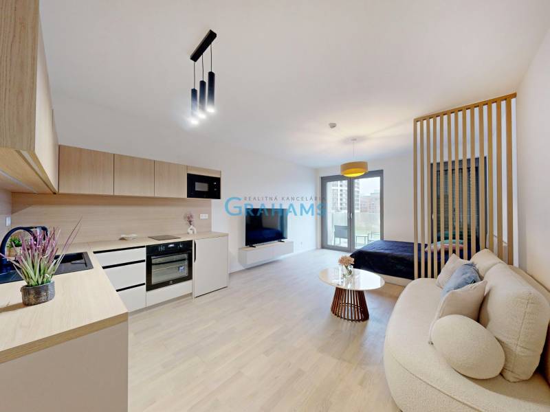 Interior of a 1-room apartment with a kitchen unit, sofa, and wooden decor flooring.
