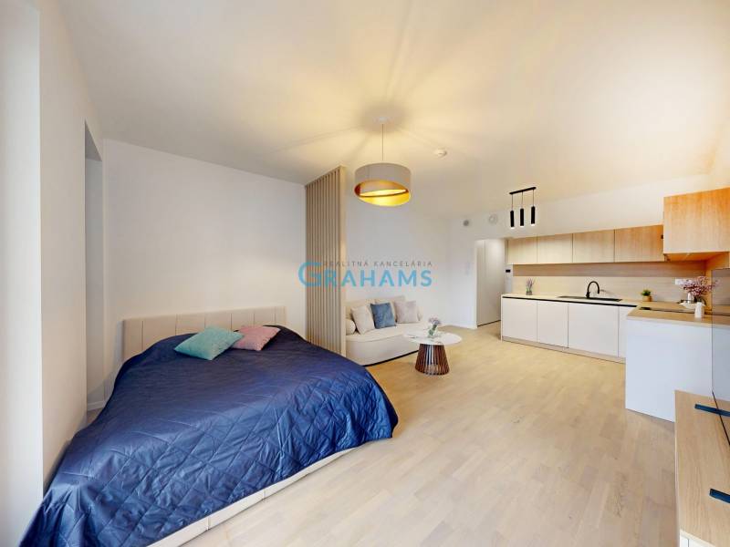 A one-room apartment with a wooden decor floor, a bed, a kitchenette, and a sofa.