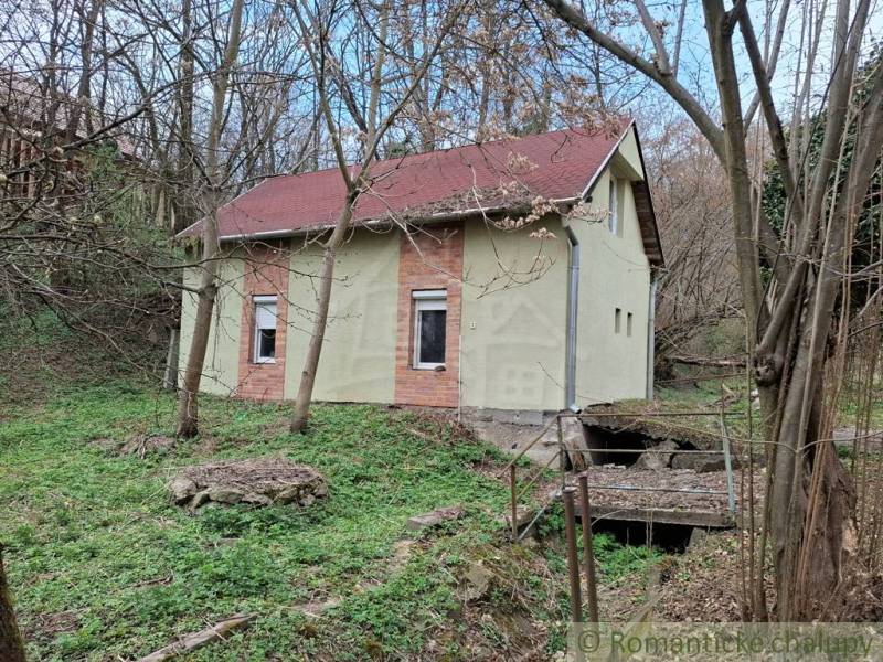 A cottage in Chľaba surrounded by trees and nature.