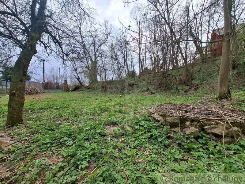 A garden near the cottage in Chľaba, surrounded by trees and greenery.