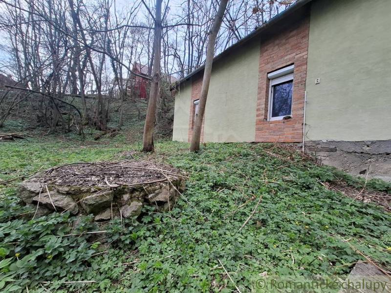 A cottage in Chľaba surrounded by trees, with a stone detail in the foreground.