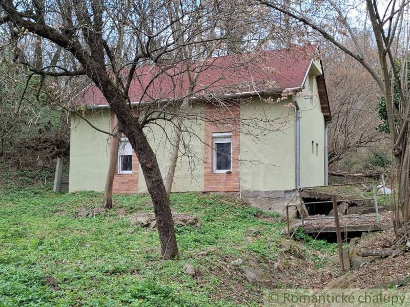 A cottage in Chľaba surrounded by deciduous trees and grass, with visible red roof shingles.
