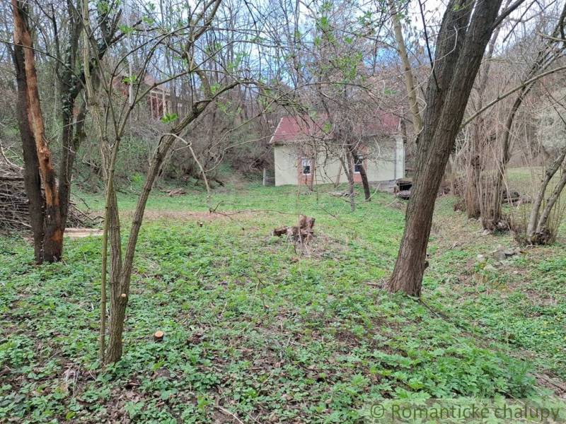 A cottage in Chľaba in a natural environment with grass cover and trees around.