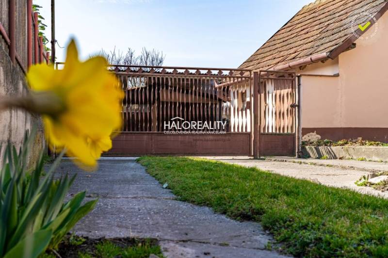 A family house in Horná Potôň with a lawn, yellow flower, and brown gate.