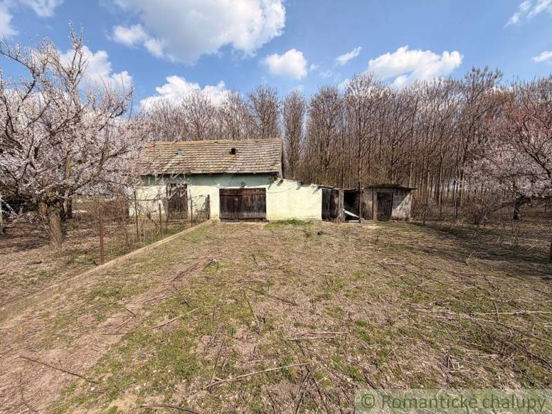 A family house in Čalovec with a rural atmosphere, surrounded by blooming trees and a forest.
