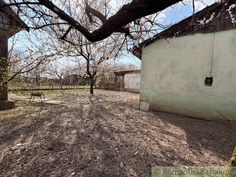 A garden at a family house in Čalovec with flowering trees and a garden bench.