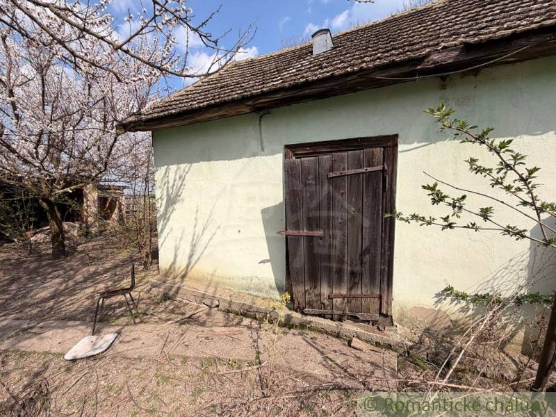 An older family house in Čalovec with wooden doors and blooming trees.
