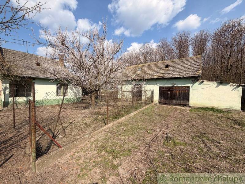 A family house in Čalovec with wooden doors, a garden, and a beautiful blossoming tree.