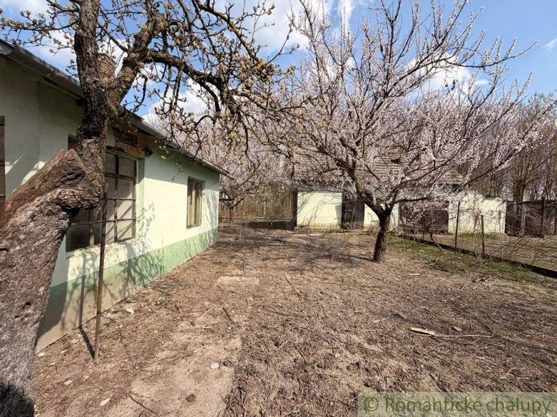 A family house in Čalovec with a garden and blooming trees.