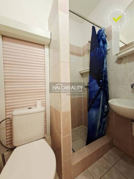 A compact bathroom in a studio apartment with a toilet, sink, and shower.