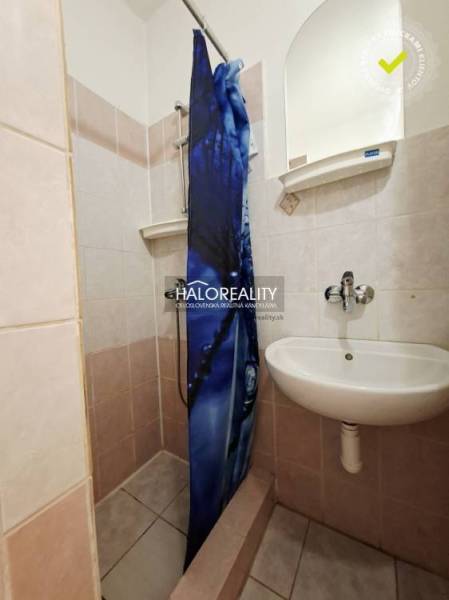 A bathroom in a studio apartment with a sink, shower, and blue curtain.