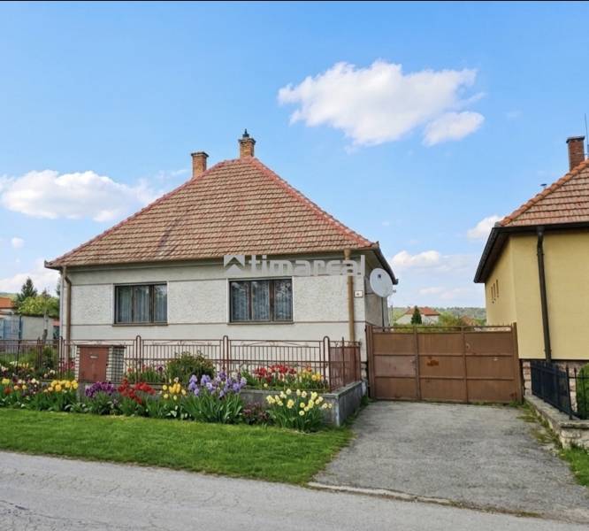 A family house in Trstín with a blooming garden and a blue sky.