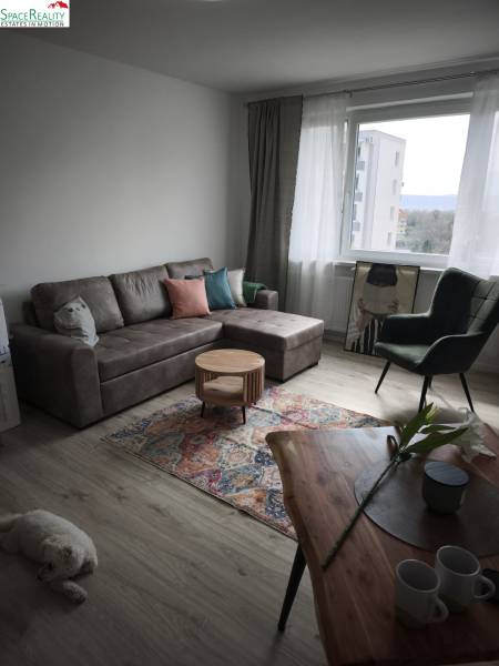 Living room in a two-room apartment with a comfortable sofa and a wooden decor floor.