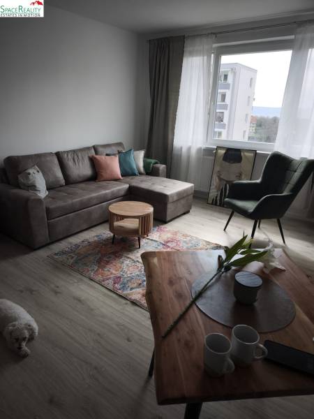 Obývacia izba s pohovkou, kreslom, kobercom a podlahou s dreveným dekorom v 2-izbovom byte.