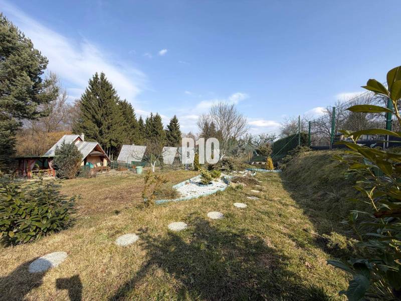 A garden with cottages in Martin surrounded by trees and shrubs, clear blue sky.