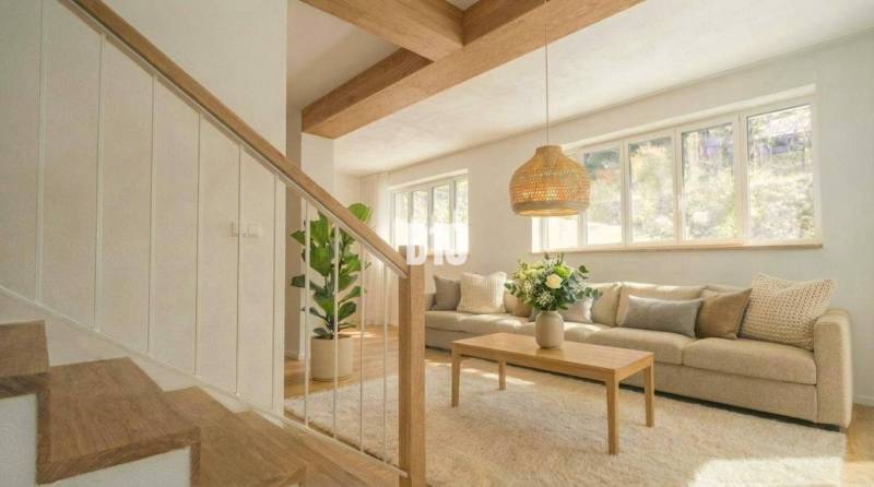 Interior of a cabin with a sofa, table, plant, and wood-patterned floor.