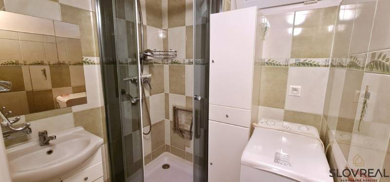 Bathroom with a sink, shower, and washing machine in a 2-room apartment.