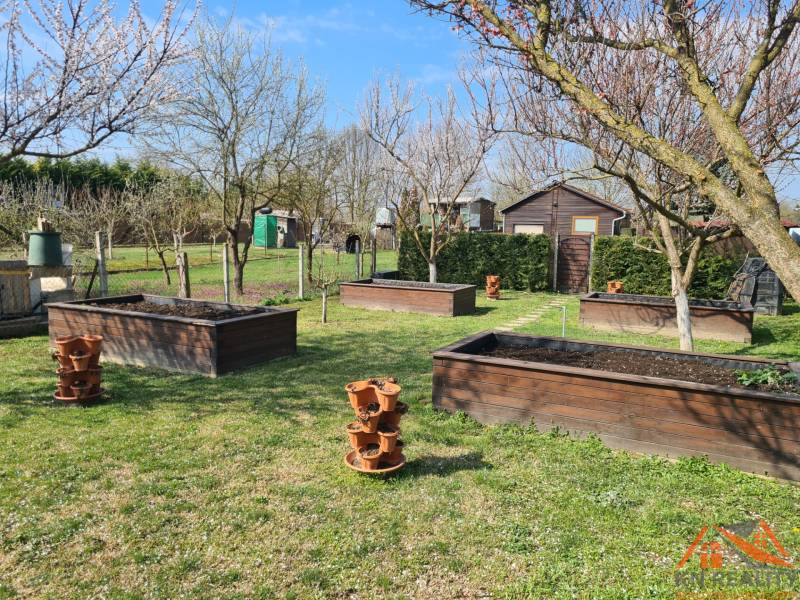A garden by the cottage in Štúrovo with wooden flower beds and trees.