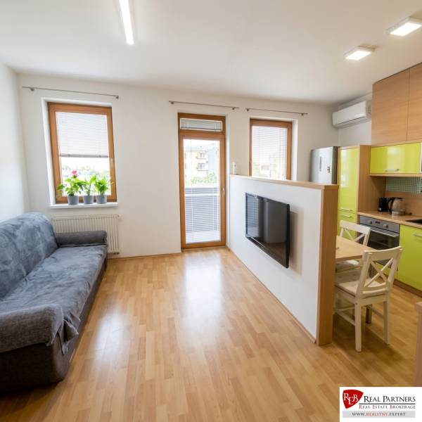 Living room in a two-room apartment with a wooden decor floor, equipped with a sofa and a television.