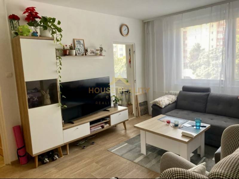 Living room in a 3-room apartment with a sofa, television, and wooden decor flooring.