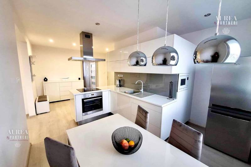 Elegant kitchen with an island, white cabinets, and wood-patterned flooring, 2-room apartment.