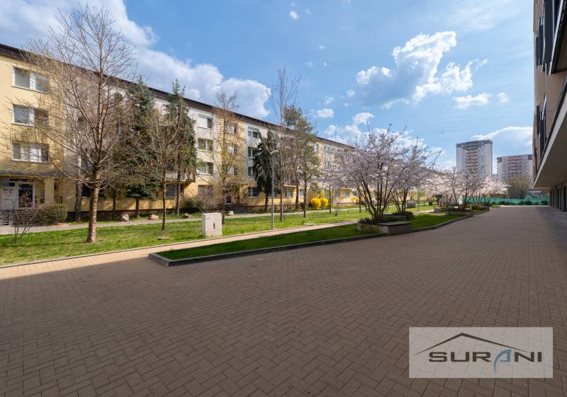 A view of the courtyard in Bratislava - Ružinov on Kostlivého Street with flowers and trees.