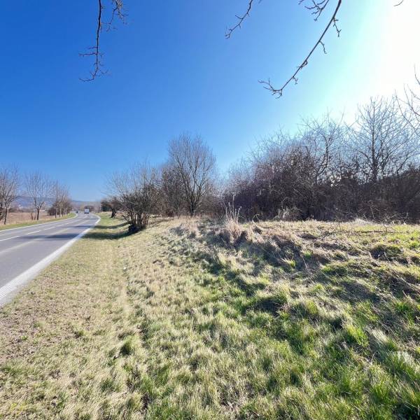 Road and greenery in the area of Bratislava - Devínska Nová Ves, Commercial land.