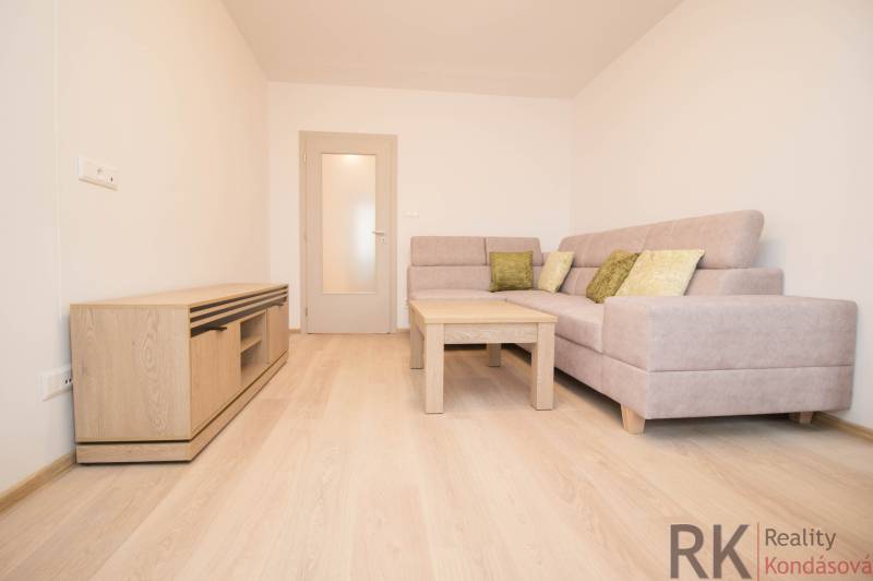 Living room in a 3-room apartment with a sofa and wooden decor flooring.