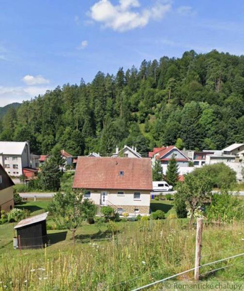 A family house in Liptovské Revúce surrounded by greenery and other houses against the backdrop of a forest.