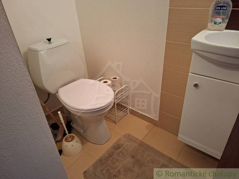 A bathroom in a family house with a toilet and a sink on a floor with a wooden decor.