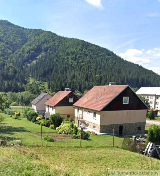 Family houses in Liptovské Revúce with mountain scenery and gardens.
