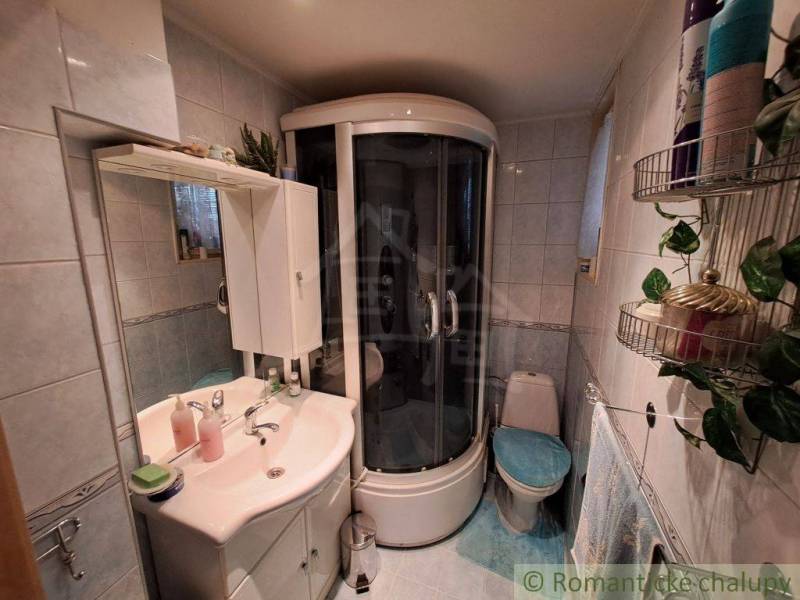 A bathroom in a family house with a modern shower, sink, and toilet.