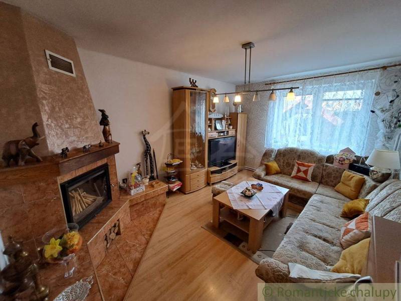Living room in a family house with a fireplace, sofa, and wooden decor flooring.