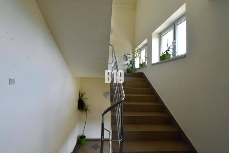 A staircase with a railing and plants next to the windows increases the natural lighting in the offices.