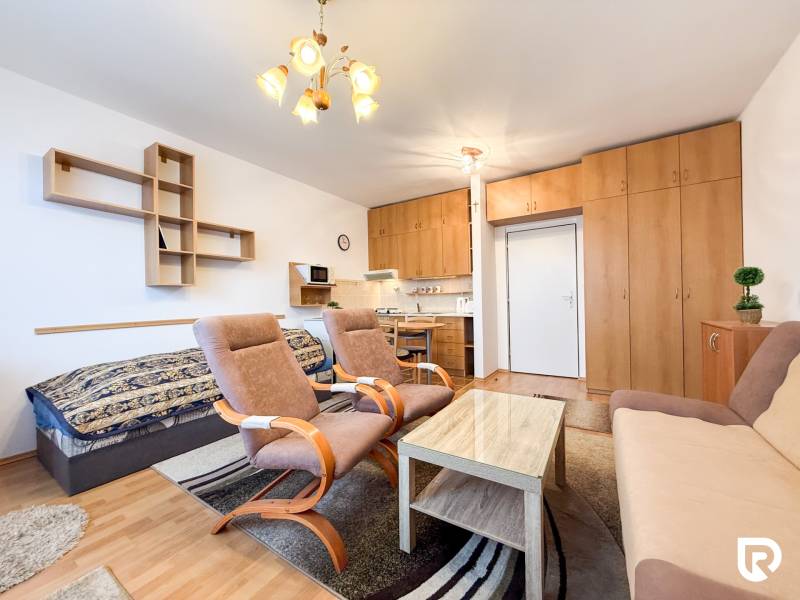 A studio apartment with a wooden floor design, a sofa, armchairs, and a built-in wardrobe.