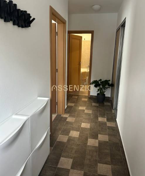 A hallway in a 2-room apartment with a dark decor floor and a plant in the corner.