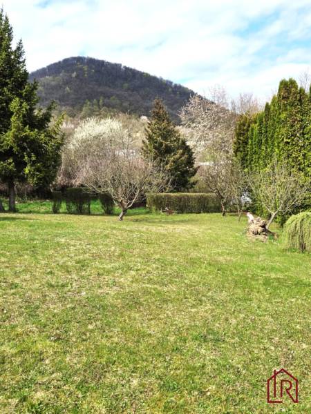A garden at the cottage in Veľký Šariš with a view of a wooded hill.
