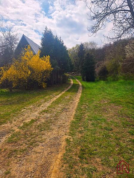 A rural setting near a cottage in Veľký Šariš with an access road and a blooming bush.