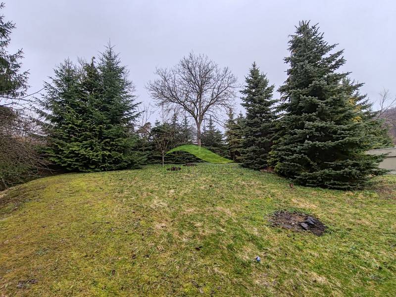 The garden of the family house on Hlavná Street in Piskorovce with trees.