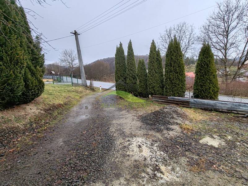 The road and trees next to the family house on Hlavná Street in Piskorovce.