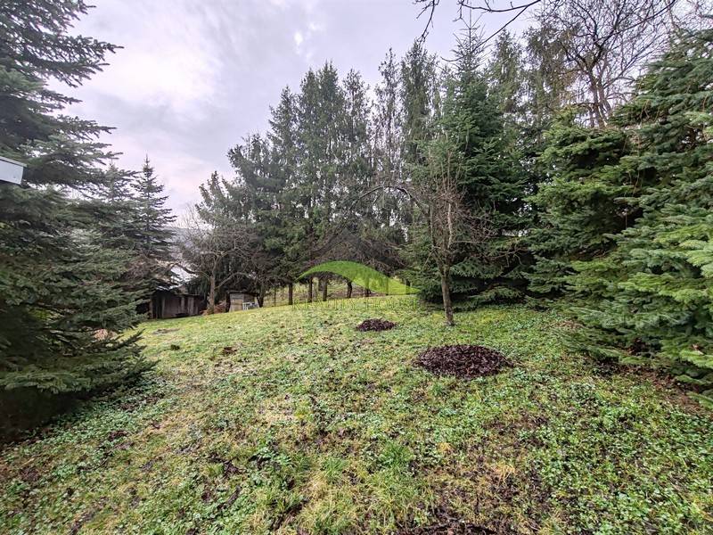 A plot of land near a family house on Hlavná Street in Piskorovce surrounded by coniferous trees.